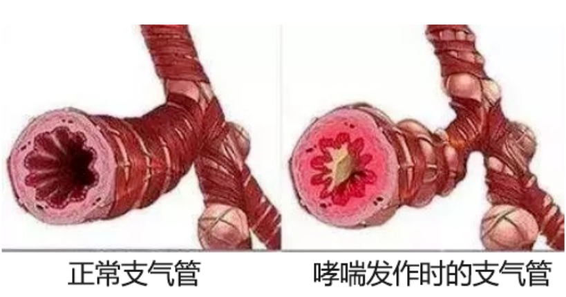 &#29699;&#36895;&#20307;&#32946;&#24179;&#21488;&#45;&#29699;&#36895;&#65288;&#20013;&#22269;&#65289;