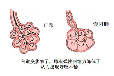 &#29699;&#36895;&#20307;&#32946;&#24179;&#21488;&#45;&#29699;&#36895;&#65288;&#20013;&#22269;&#65289;
