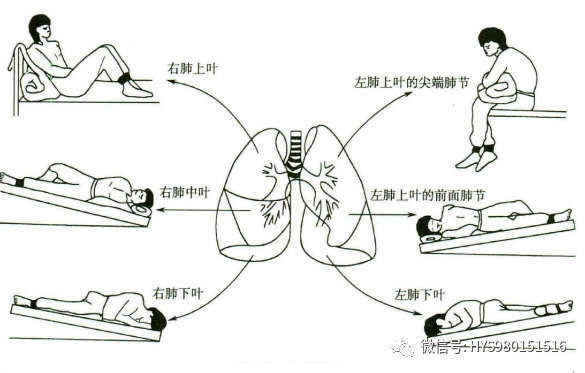 &#29699;&#36895;&#20307;&#32946;&#24179;&#21488;&#45;&#29699;&#36895;&#65288;&#20013;&#22269;&#65289;