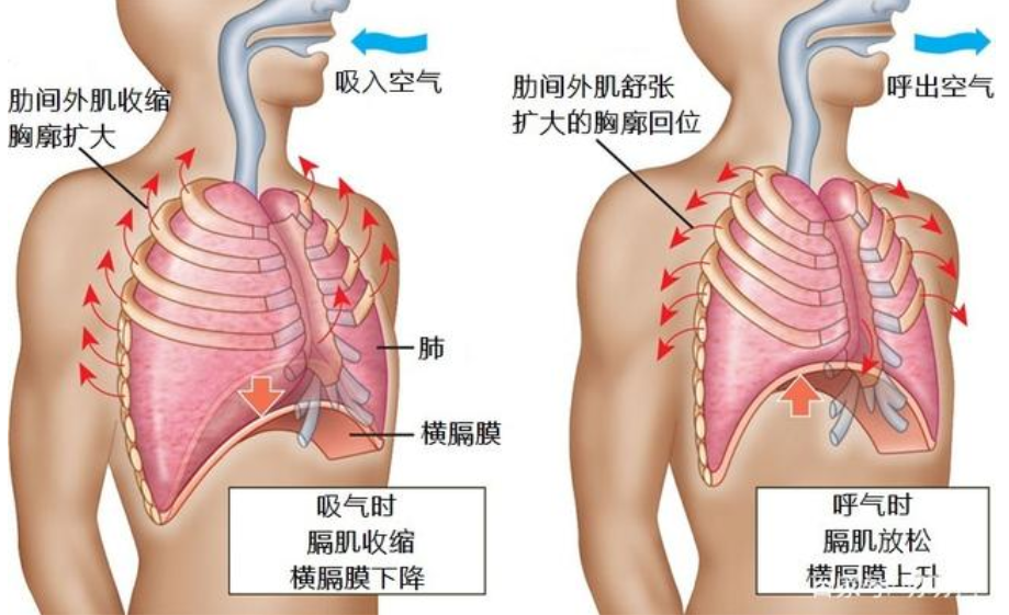 &#29699;&#36895;&#20307;&#32946;&#24179;&#21488;&#45;&#29699;&#36895;&#65288;&#20013;&#22269;&#65289;