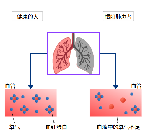 &#29699;&#36895;&#20307;&#32946;&#24179;&#21488;&#45;&#29699;&#36895;&#65288;&#20013;&#22269;&#65289;